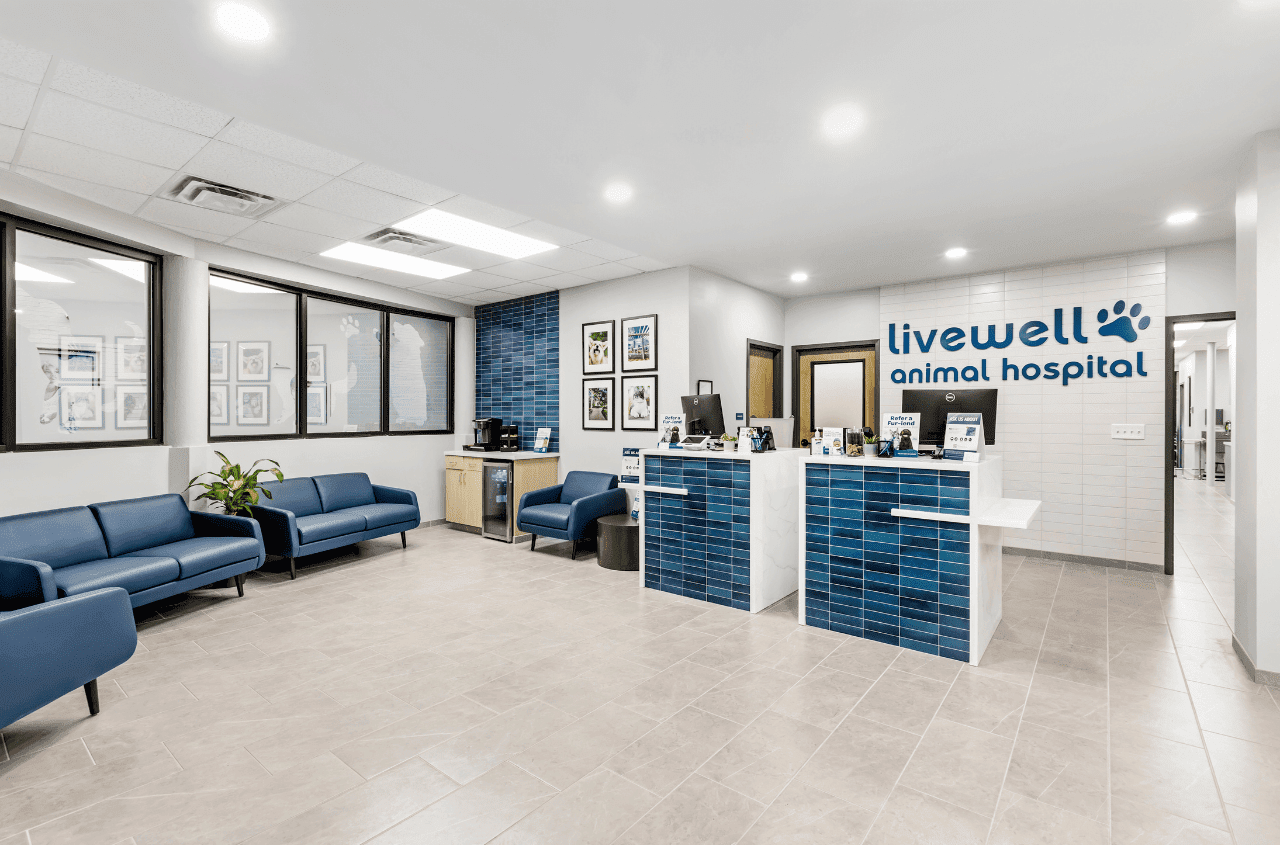 A shot of the receptionist area with an additional couch for client seating in the corner